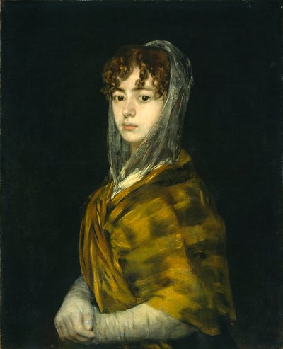 重定向塞尼奥拉加西亚 作者 Francisco de Goya